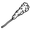 نبات