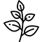 سبزی خشک