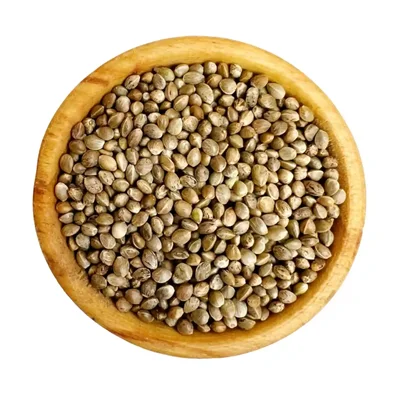 شاهدانه درشت
