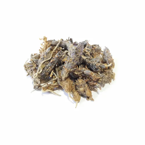 اسطوخودوس