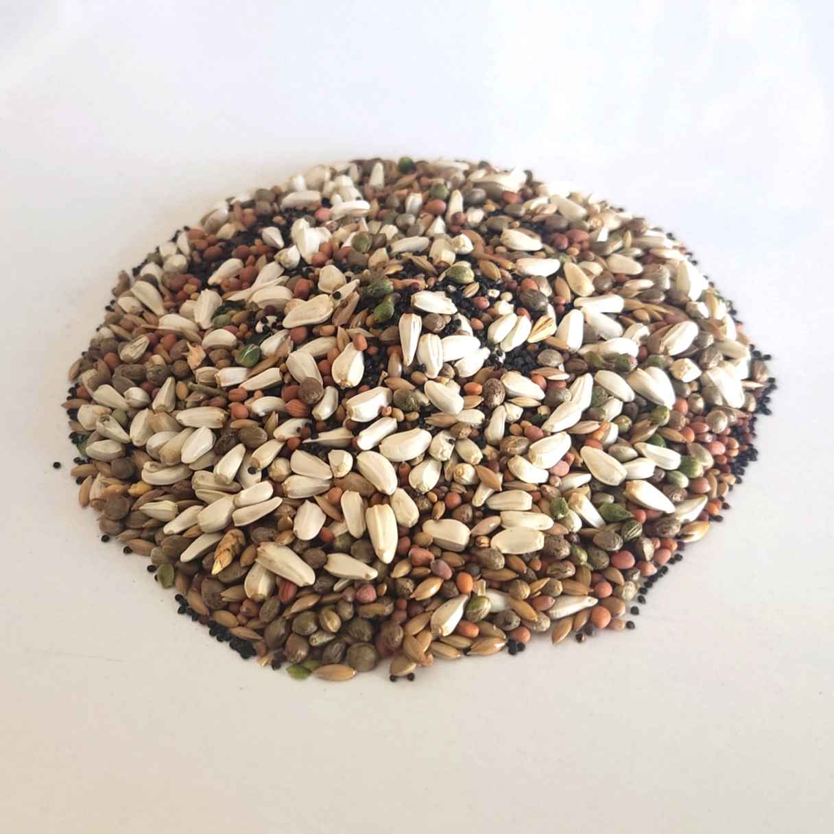 هفت تخمه پرنده