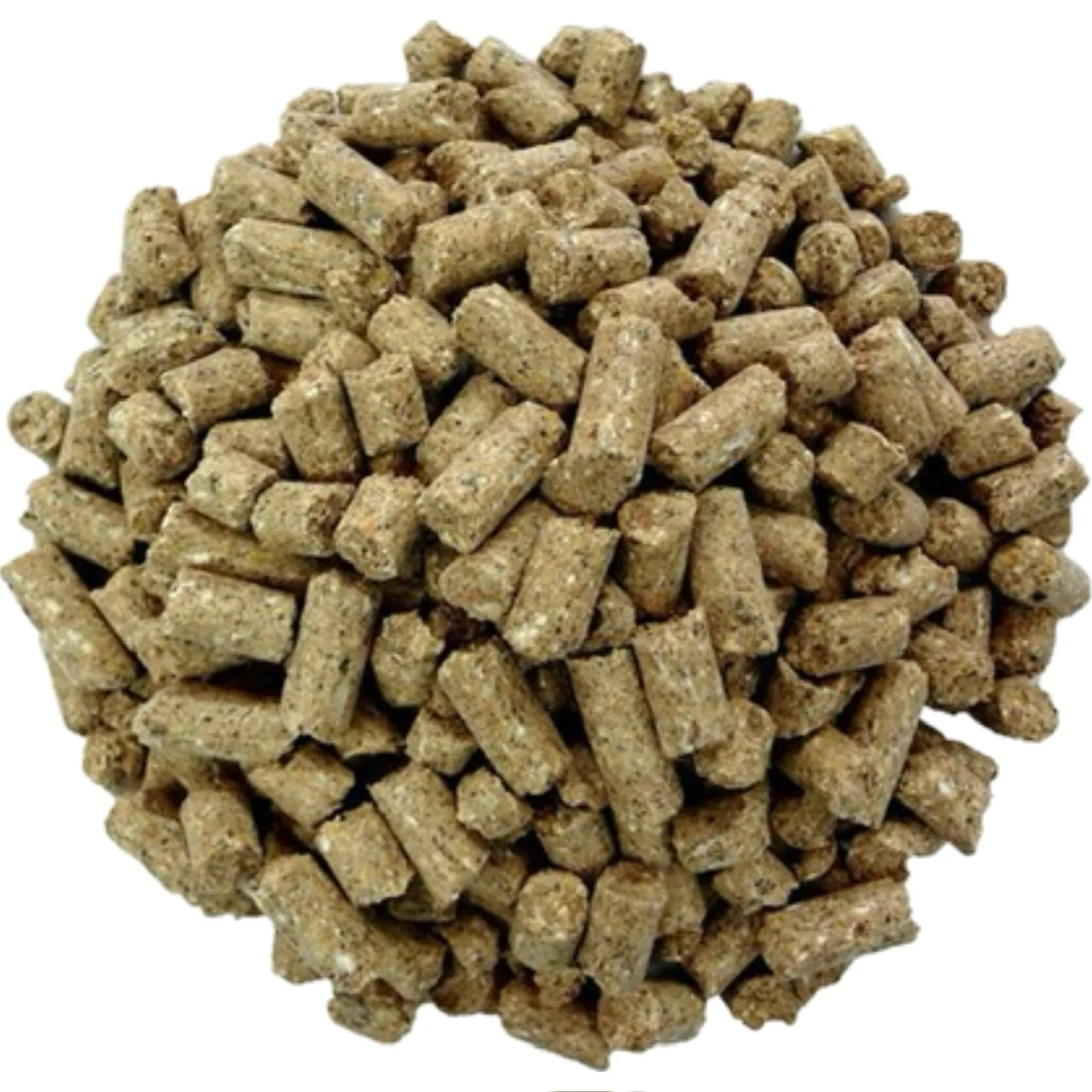 دانه پارس درشت