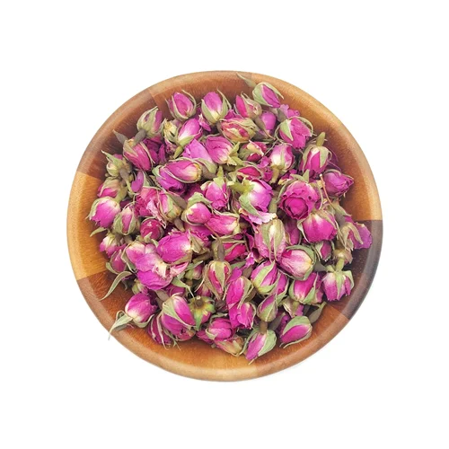 گل سرخ غنچه