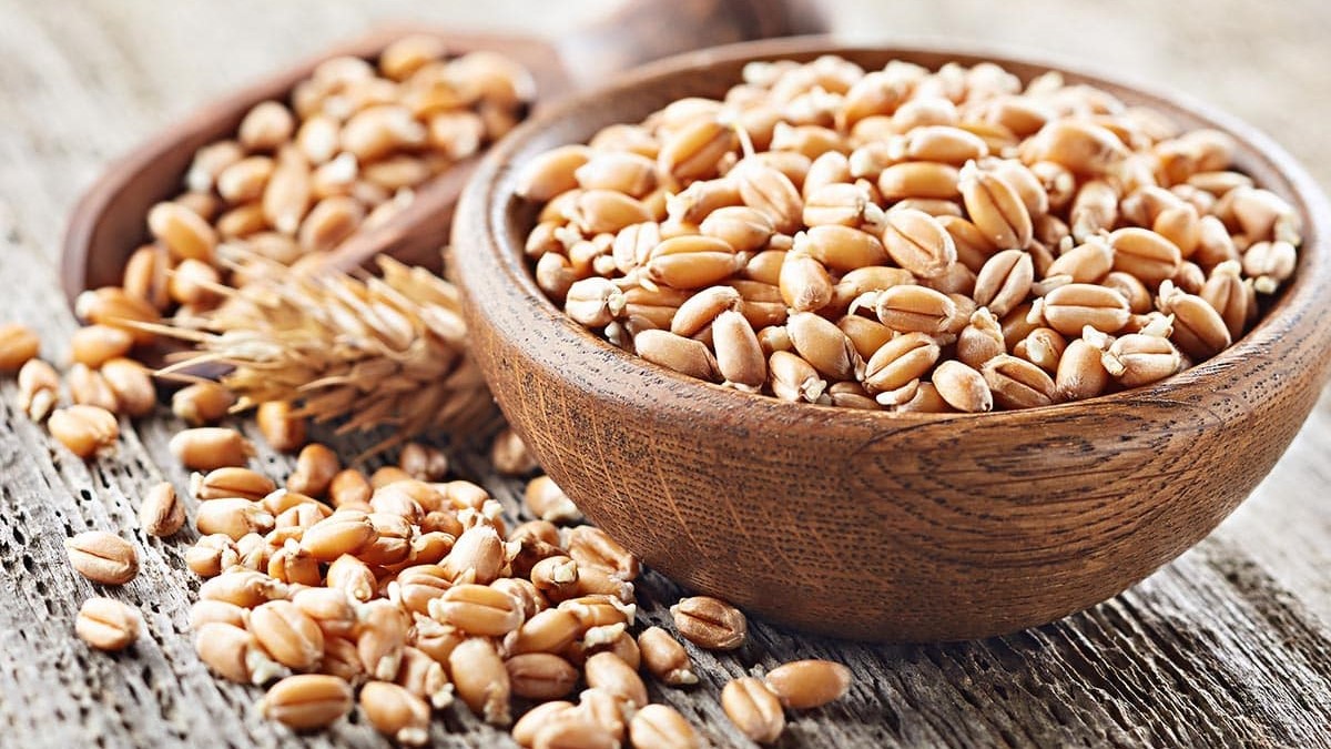 گندم خوراکی