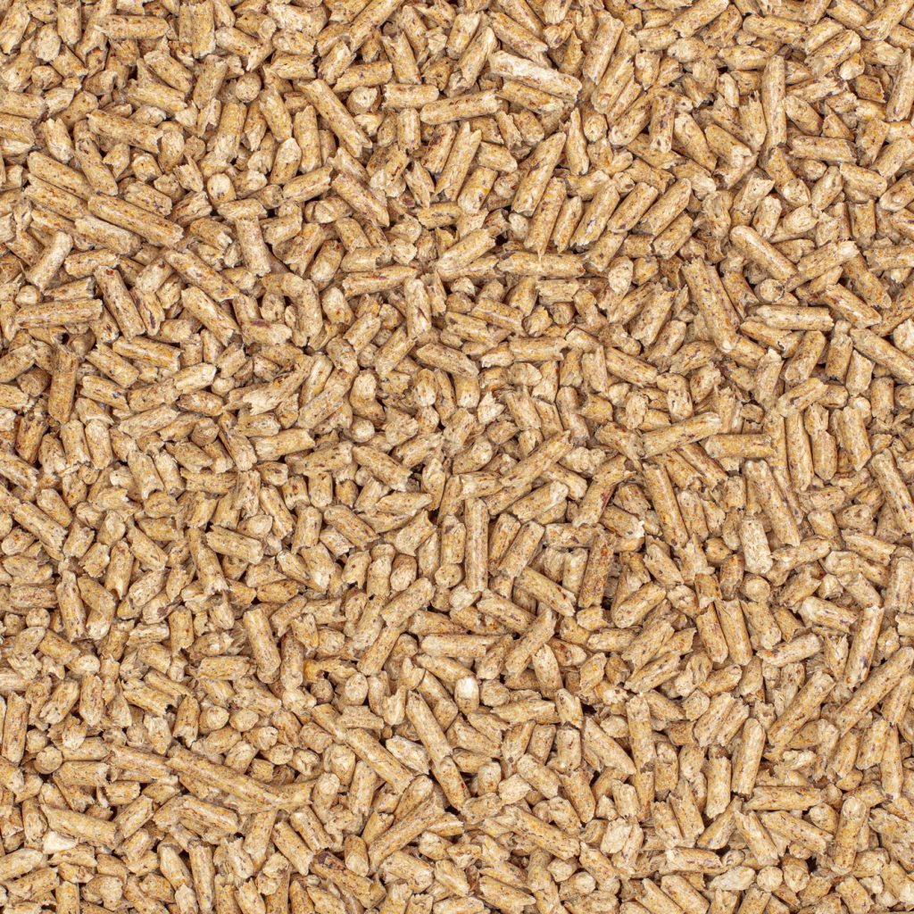 دانه پارس ریز