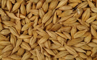 جو دوسر