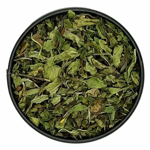 نعناع فلفلی