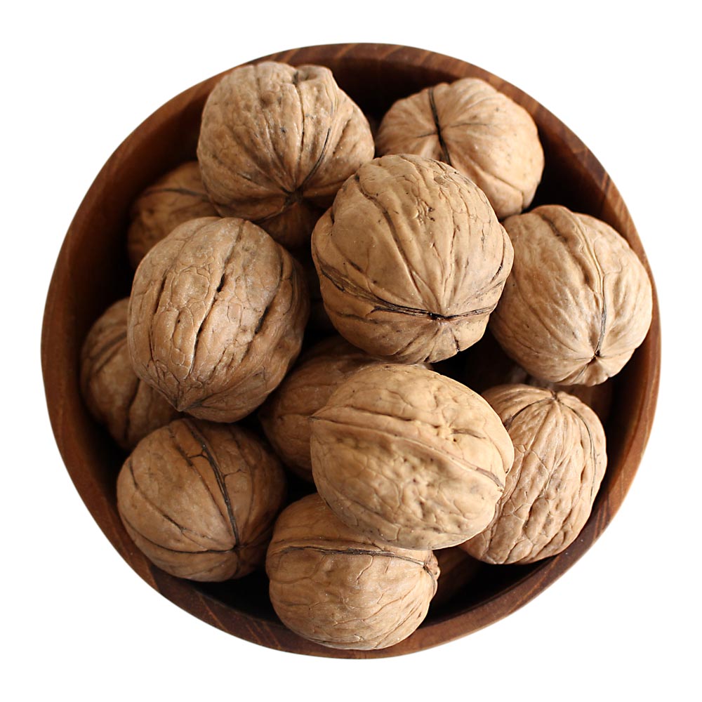 گردو(باپوست)